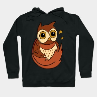 Brown Feathered Owl Hoodie